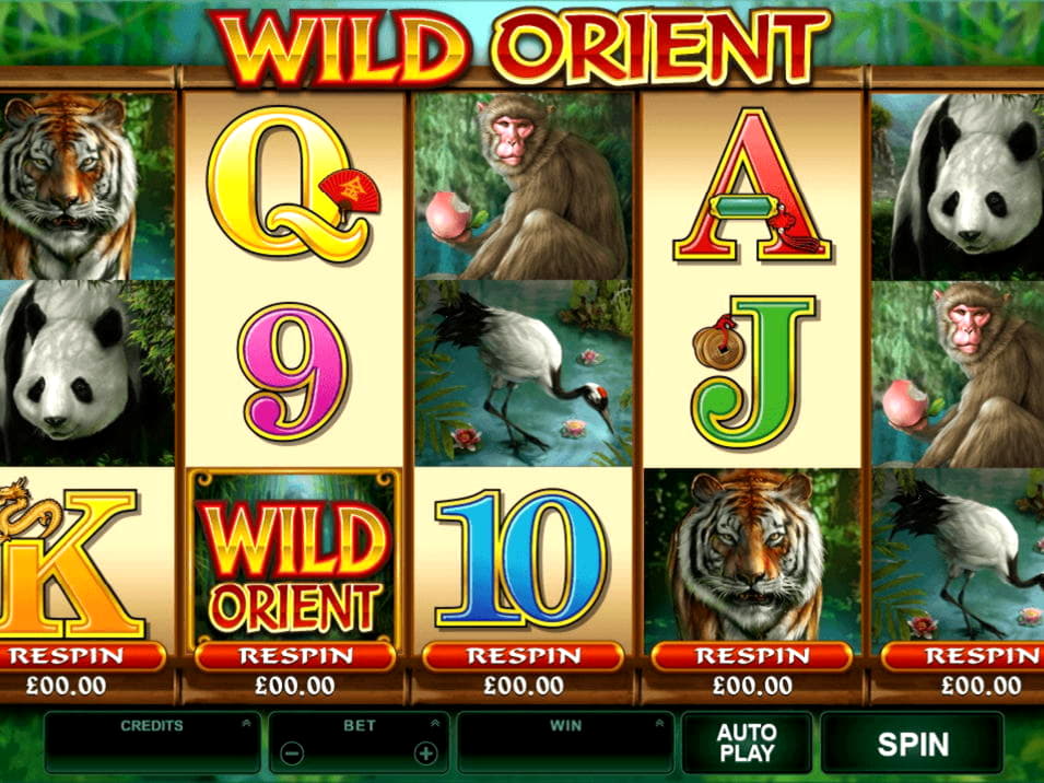 £2485 NO DEPOSIT CASINO BONUS at Leo Dubai Casino