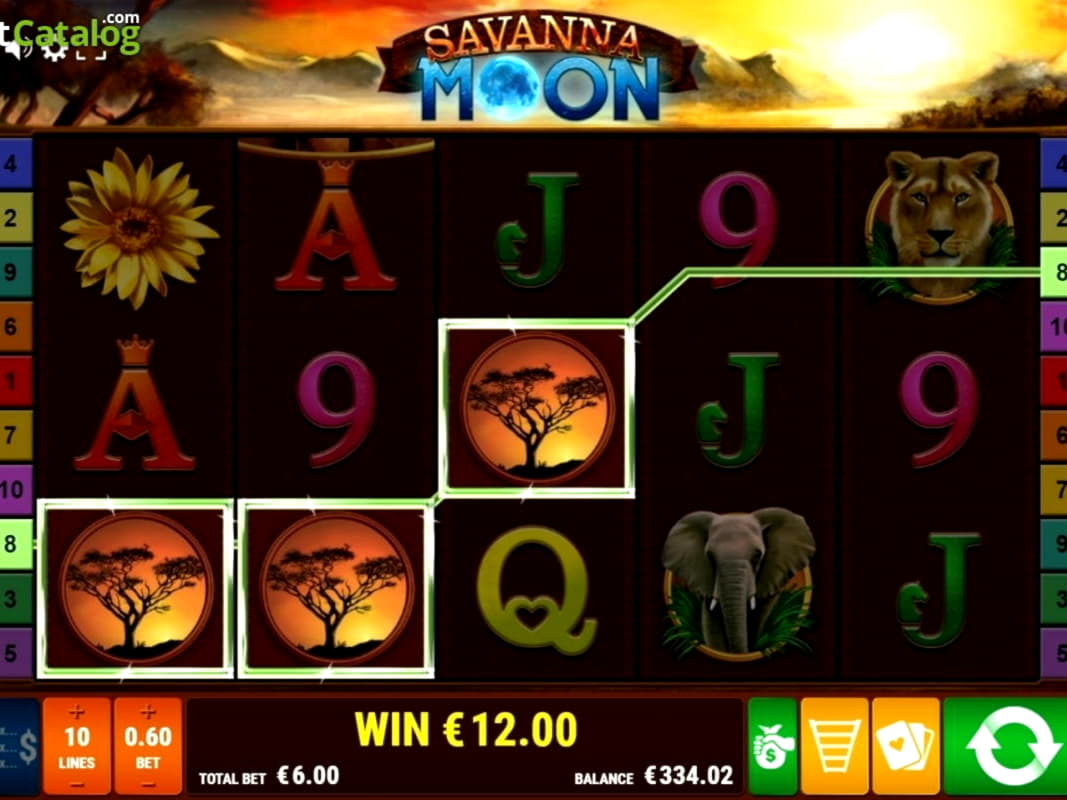 Eur 65 Daily freeroll slot tournament at Dunder Casino