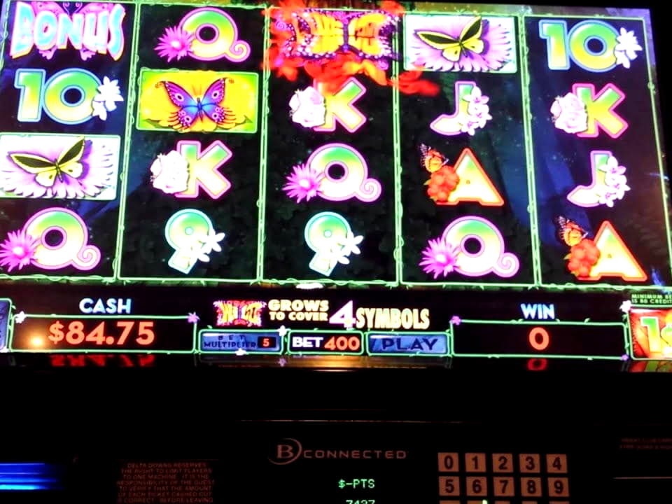 605% First Deposit Bonus at Dream Dubai Casino