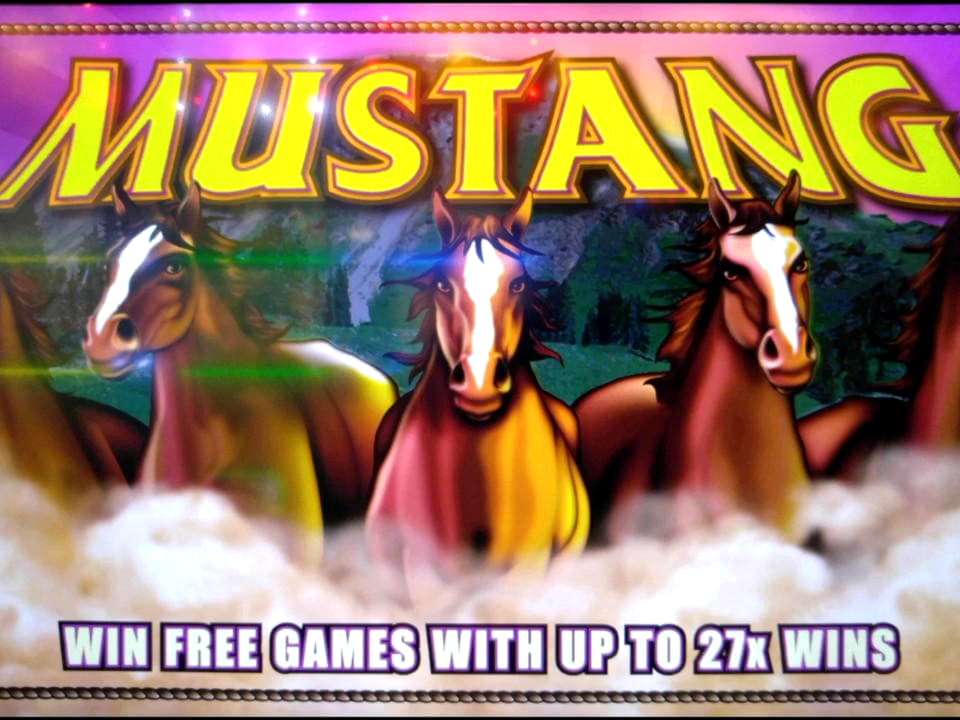 €1965 no deposit bonus casino at Dream Dubai Casino