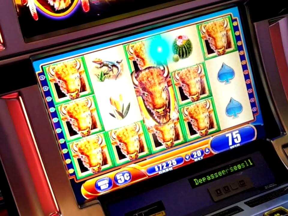 210 free spins at Leo Dubai Casino