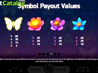 $66 Casino chip at Holland Online Casino