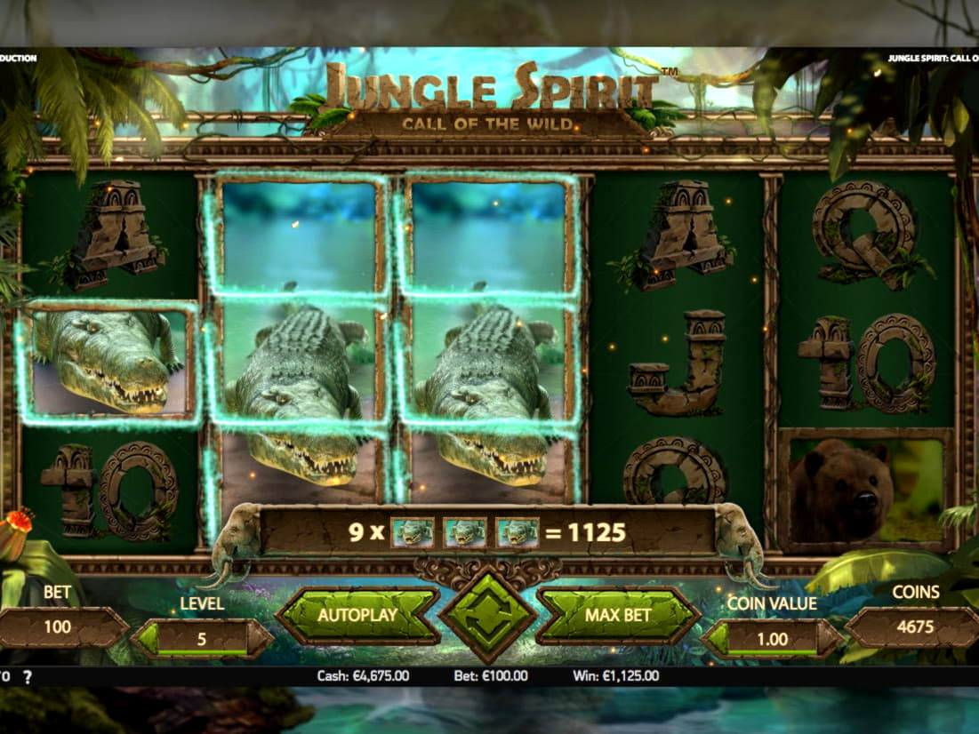 445% No Rules Bonus! at Sloty Casino