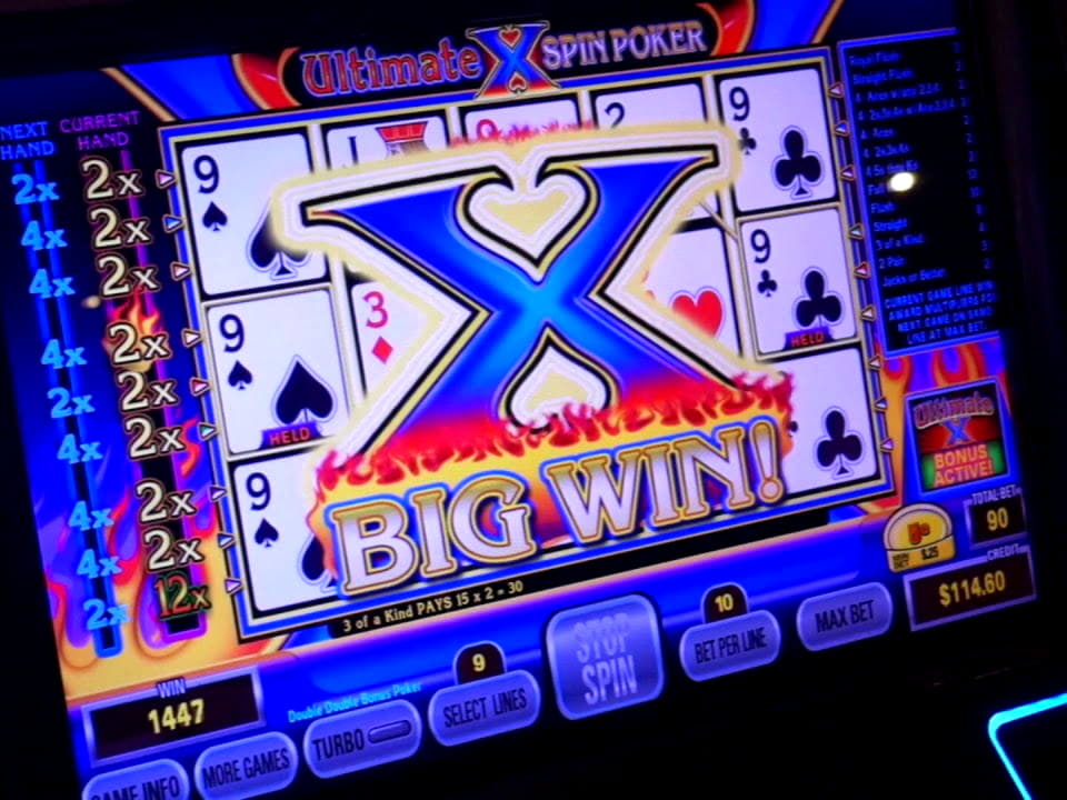 245 free spins casino at Rizk Casino