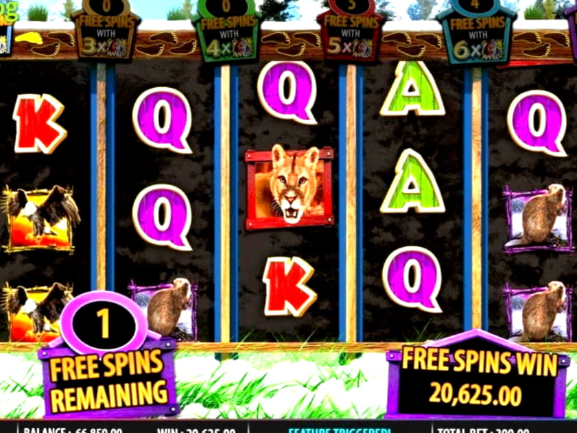 $1605 NO DEPOSIT BONUS CODE at Casino com