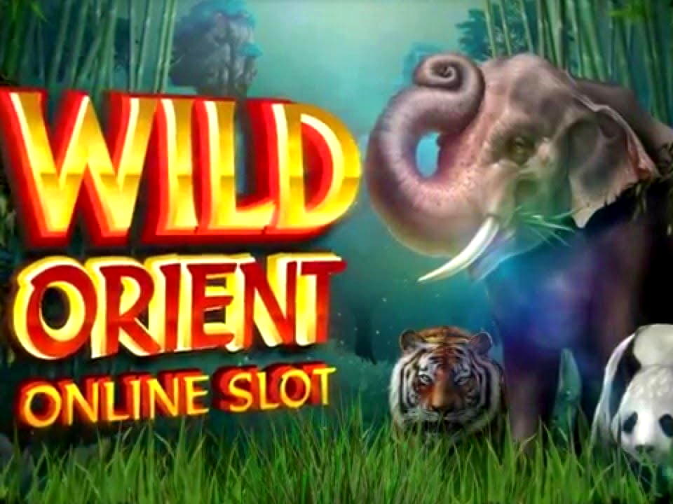 EURO 865 NO DEPOSIT CASINO BONUS at Slots Angel Casino