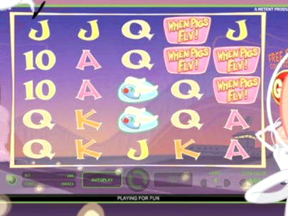 55 FREE Spins at Nordi Casino