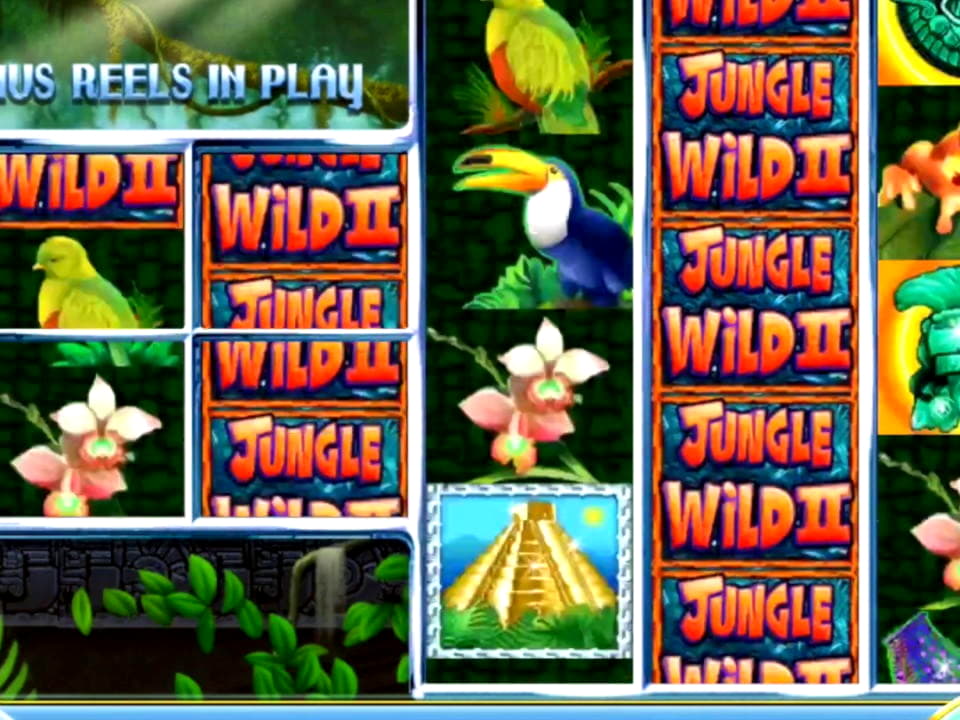 €888 no deposit bonus code at Dunder Casino