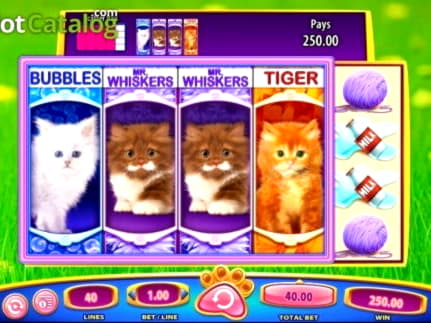 $960 Free Casino Tournament at Red Ping Win Casino