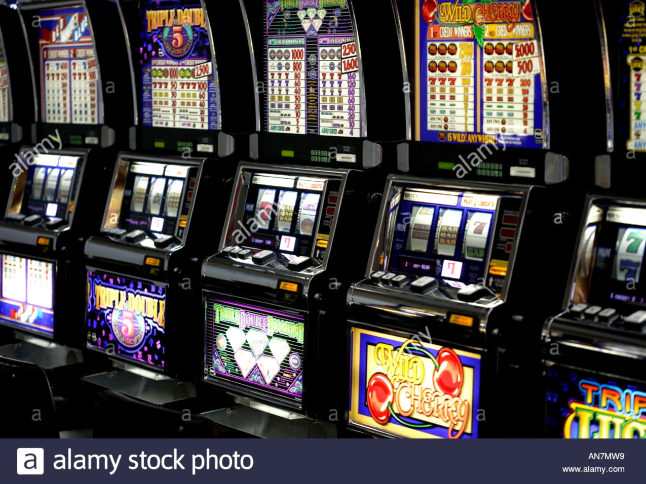 EURO 565 Casino Tournament at Red Ping Win Casino
