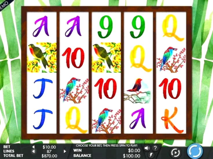 €420 Mobile freeroll slot tournament at Next Casino