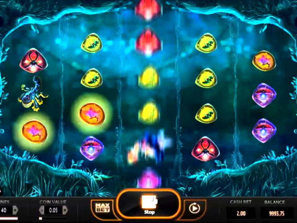 245% Signup casino bonus at Leo Dubai Casino