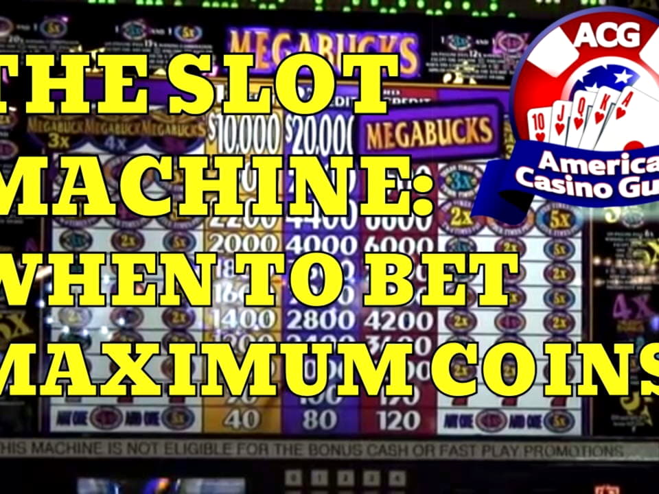 315% Match Bonus Casino at Rizk Casino