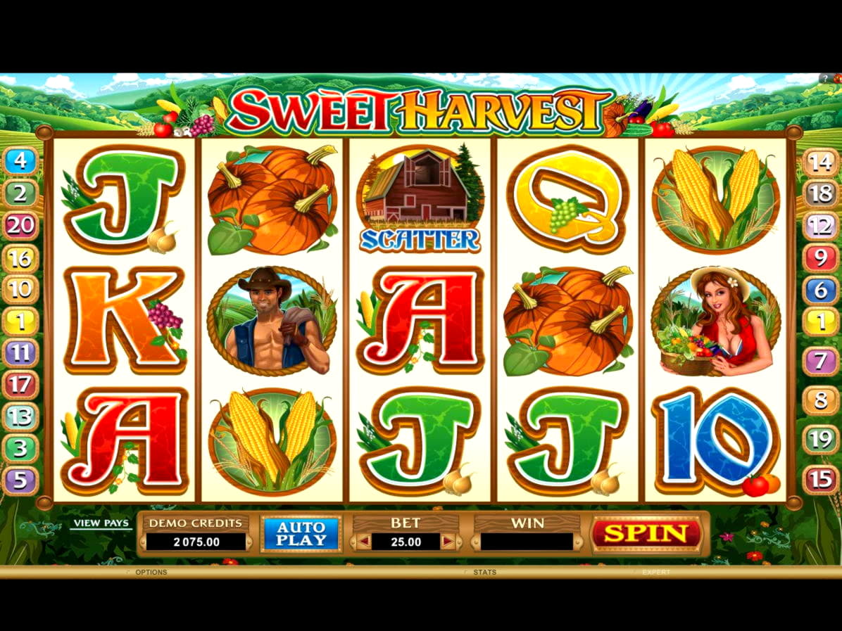 Eur 1090 No Deposit at Leo Dubai Casino