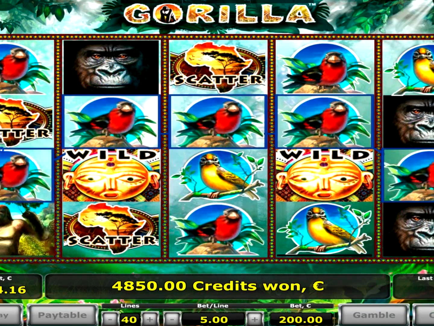 80% Best signup bonus casino at Rizk Casino