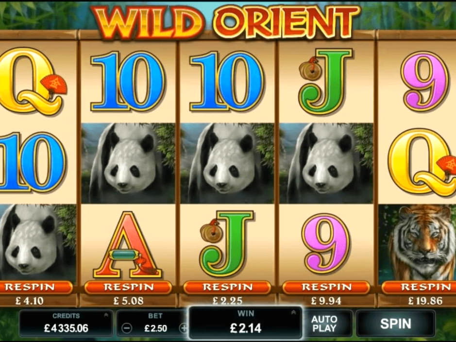 EURO 255 Daily freeroll slot tournament at Dunder Casino