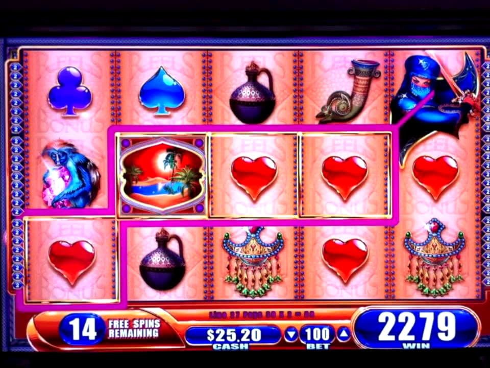 EUR 540 No deposit at Holland Online Casino