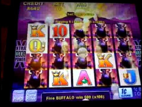 25 free spins no deposit at Sloty Casino