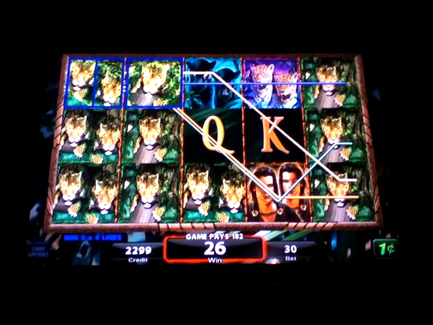 210 Free Spins at Wild Slots Casino