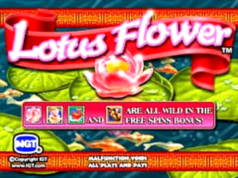 175 Free spins casino at Kaboo Casino