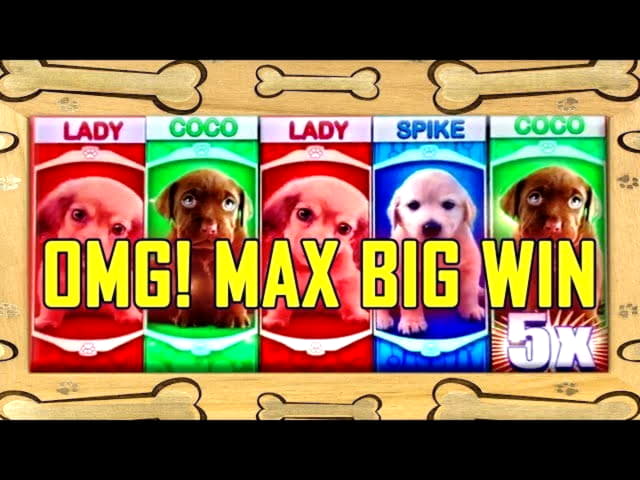$444 free chip casino at Red Ping Win Casino