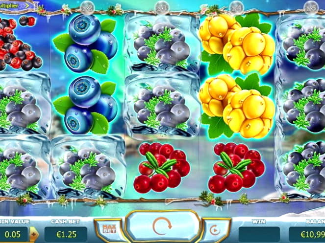 550% Match Bonus Casino at Leo Dubai Casino