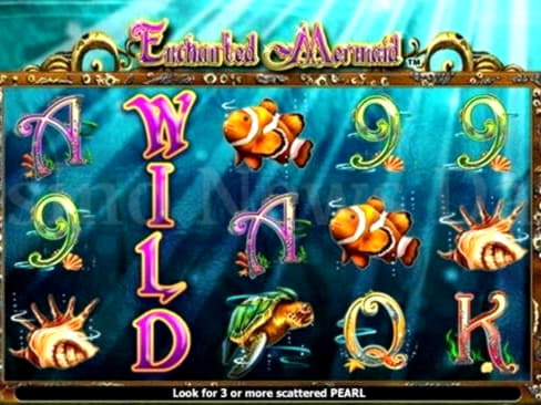 EUR 3410 No Deposit Bonus at Red Ping Win Casino