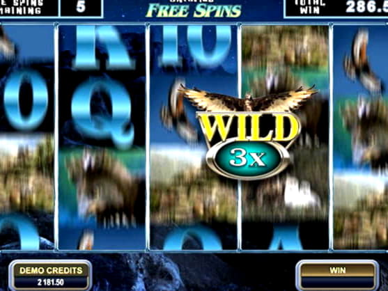 905% Signup casino bonus at Holland Online Casino
