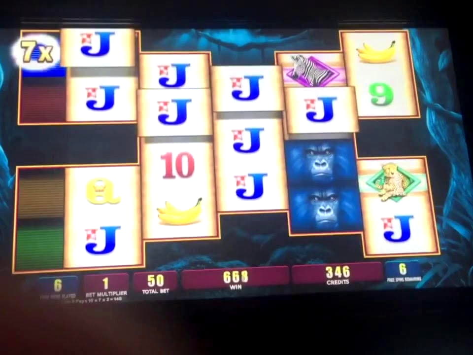725% First deposit bonus at Rizk Casino