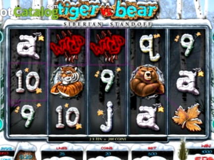 €505 casino chip at Next Casino