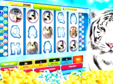 460% Best Signup Bonus Casino at Casino Luck