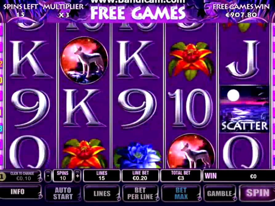 €2725 no deposit bonus code at Wild Slots Casino