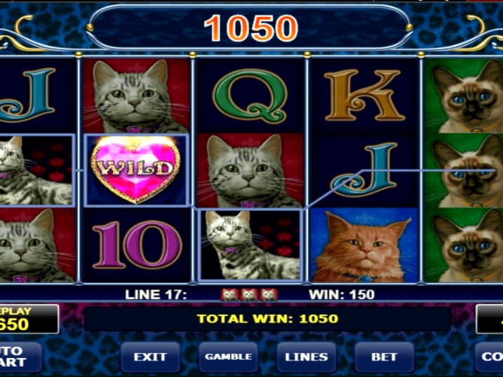 55% Match at a casino at BGO Casino