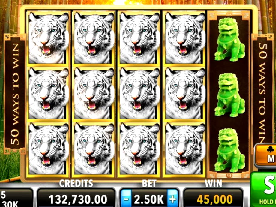 22 Free Spins right now at Wild Slots Casino