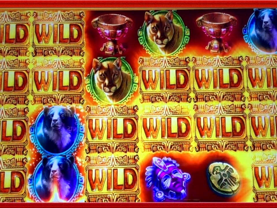EUR 330 Casino chip at Leo Dubai Casino