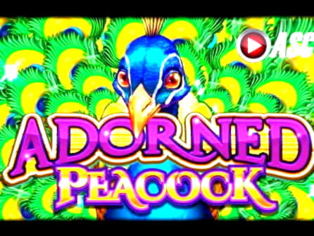 110 FREE SPINS at Casino Luck