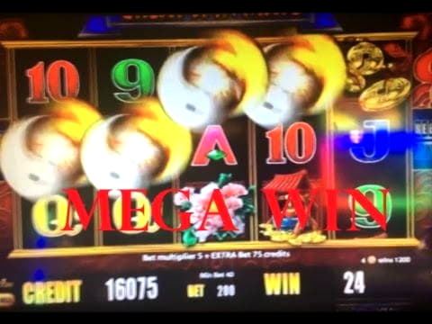 40 Free Spins no deposit at Leo Dubai Casino