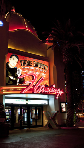 Flamingo casino