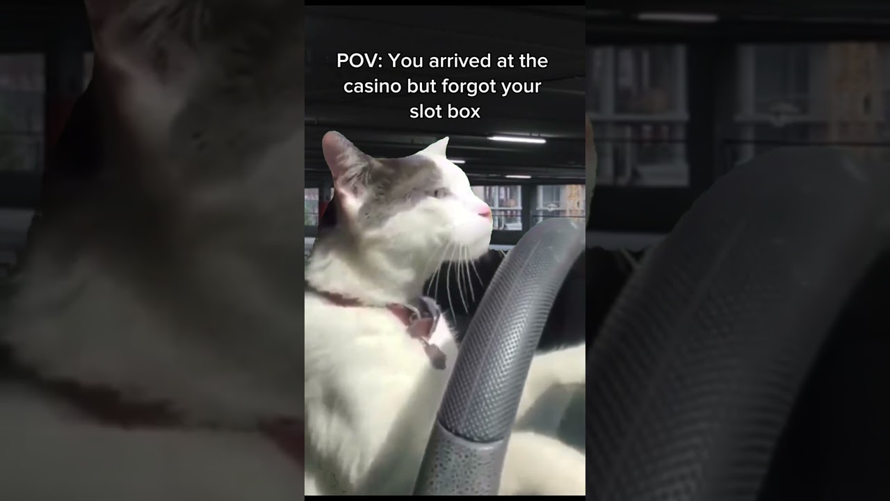 Who can relate? ? #slots #slotmachine #Finnish Casino #Finnish Casinos